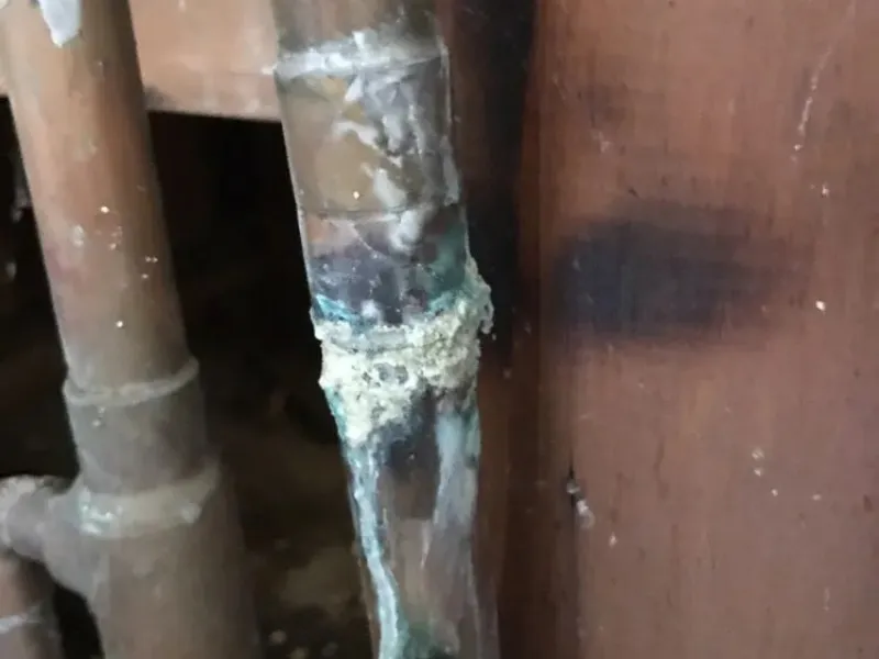 Pipe repair with professional fittings